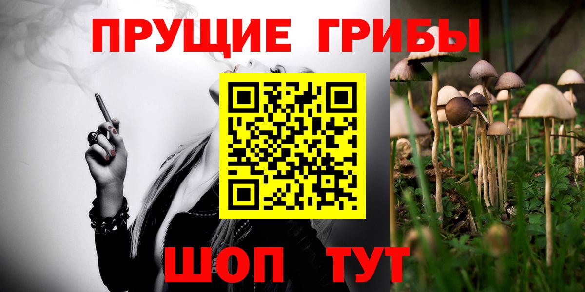 Сафоново  Галлюциногенные грибы мицелий  Псилоцибиновые грибы Psilocybine cubensis  Вход с VPN 