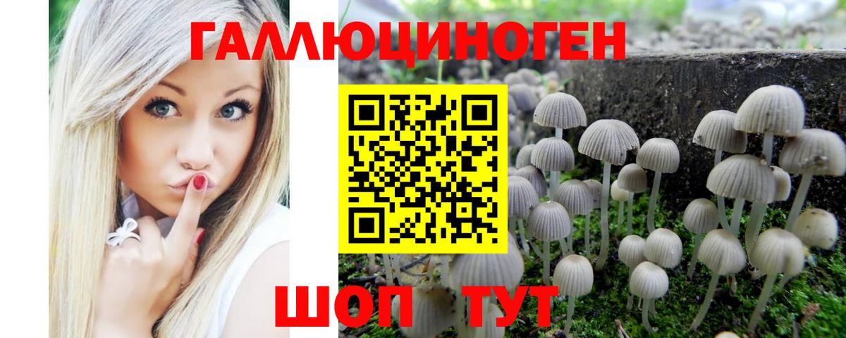 Галлюциногенные грибы прущие грибы Сафоново